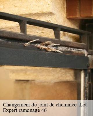 Changement de joint de cheminée  46 Lot  Expert ramonage 46
