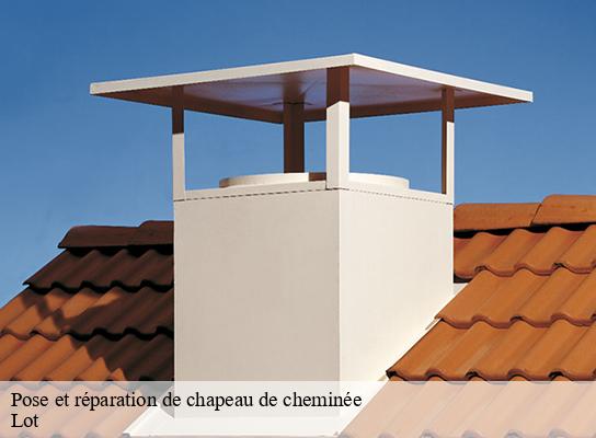 Pose et réparation de chapeau de cheminée 46 Lot  Expert ramonage 46