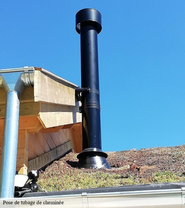 Pose de tubage de cheminée  vire-sur-lot-46700 Expert ramonage 46