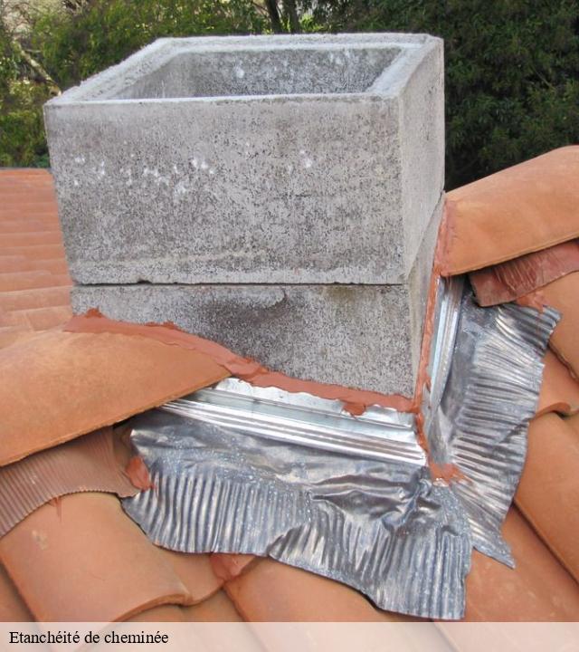 Etanchéité de cheminée  frayssinet-le-gelat-46250 Expert ramonage 46