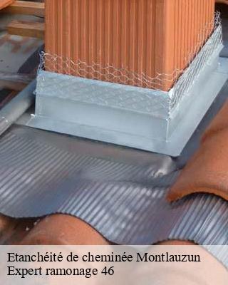 Etanchéité de cheminée  montlauzun-46800 Expert ramonage 46