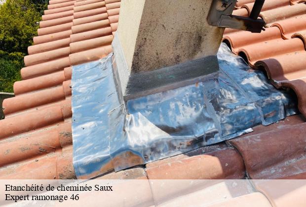 Etanchéité de cheminée  saux-46800 Expert ramonage 46