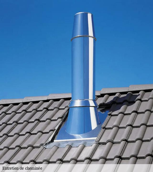Entretien de cheminée  saint-vincent-rive-d-olt-46140 Expert ramonage 46