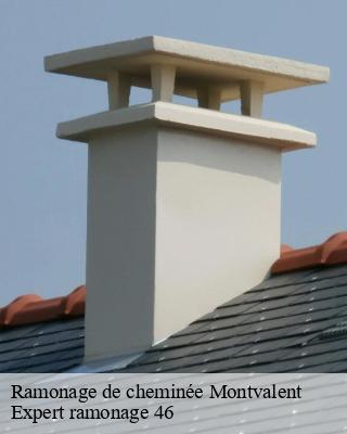 Ramonage de cheminée montvalent-46600 Expert ramonage 46
