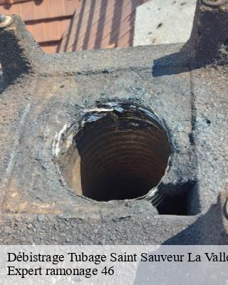 Débistrage Tubage  saint-sauveur-la-vallee-46240 Expert ramonage 46