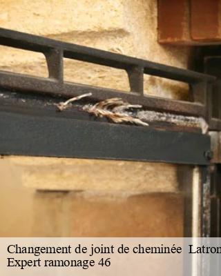 Changement de joint de cheminée   latronquiere-46210 Expert ramonage 46