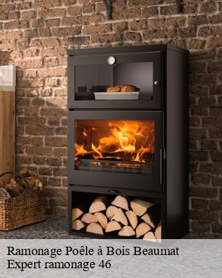 Ramonage Poêle à Bois beaumat-46240 Expert ramonage 46