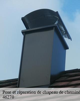 Pose et réparation de chapeau de cheminée  bagnac-sur-cele-46270 Expert ramonage 46